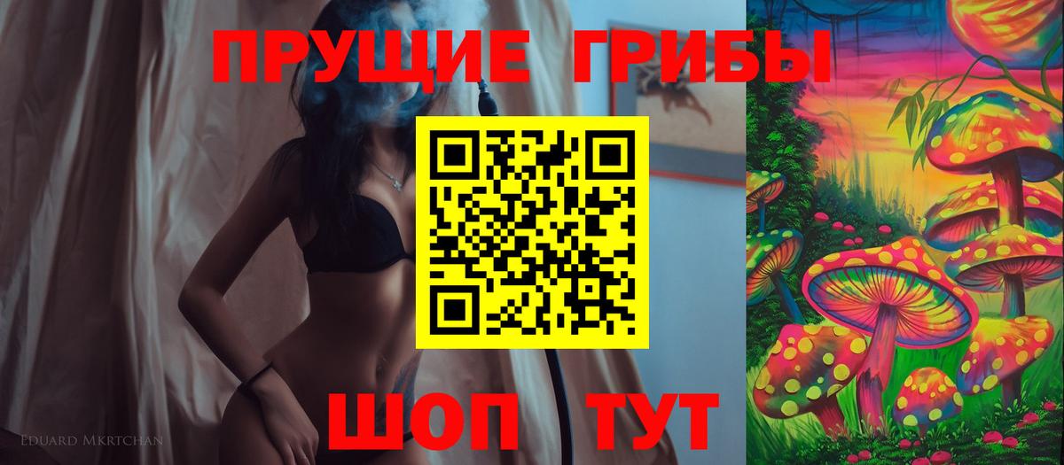 Всеволожск  Псилоцибиновые грибы Cubensis  купить наркотик  Вход с VPN 